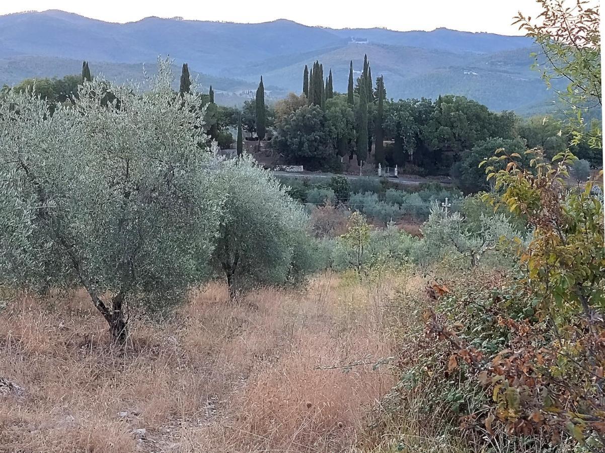 Villa Casanova Di Ricavo à Gaiole in Chianti Extérieur photo